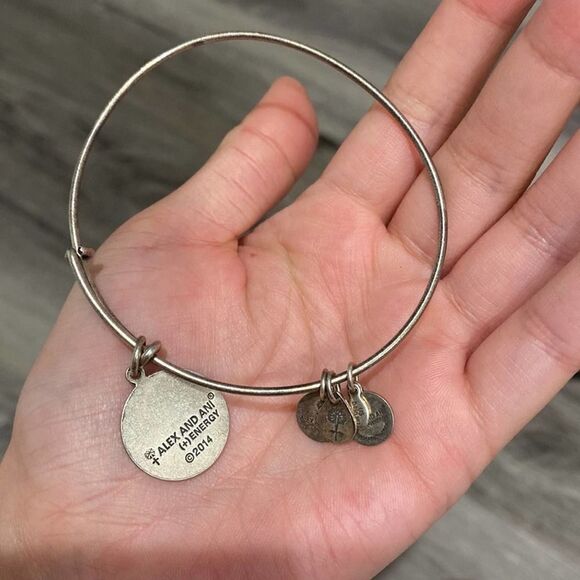 NWOT Women’s Alex and Ani Path Of Life 2014 Rafaelian Silver Bangle - Picture 3 of 8
